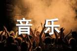音乐教学总结集锦5篇