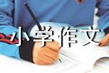 难忘的晚会小学作文（通用49篇）