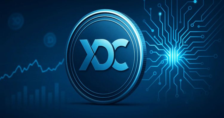 XDC 网络今日价格和市场概览