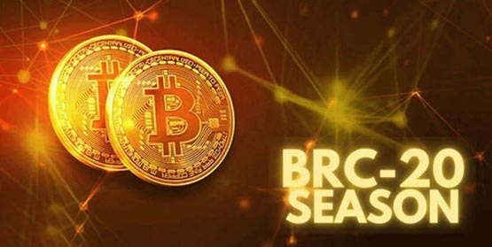 BRC20代币有哪些?