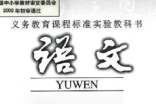 初一语文教学总结6篇