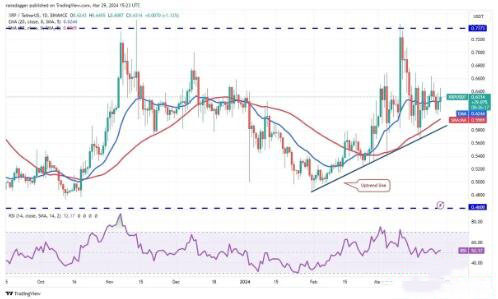 瑞波币（$XRP）