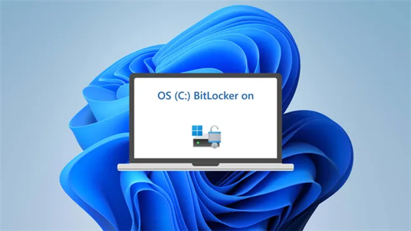 Windows BitLocker自动加密磁盘！3TB宝贵数据丢失：永远无法再找回