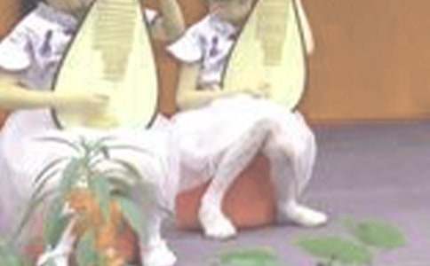 优秀教案《琵琶行》（精选16篇）