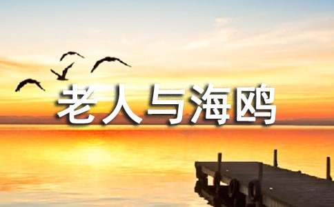 《老人与海鸥》教学设计（通用16篇）