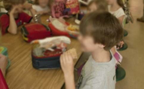 幼儿园折纸手工课教案(通用16篇)