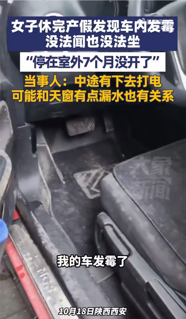 女子修完产假发现车发霉 当事人：7个月没开 中途有下去打电 可能跟天窗漏水有关