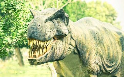 《飞向蓝天的恐龙》教学设计范文（精选10篇）