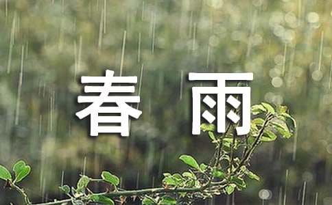 春雨的色彩教案3篇