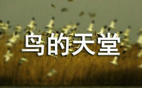 课文鸟的天堂教学设计范文(通用9篇)