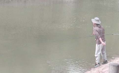 课文《钓鱼的启示》教案(精选11篇)