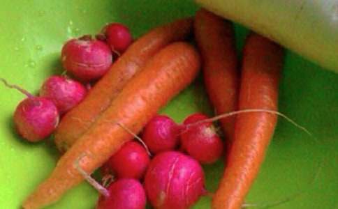 五年级体育与健康教学计划(精选7篇)