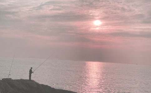 钓鱼的启示经典教学设计