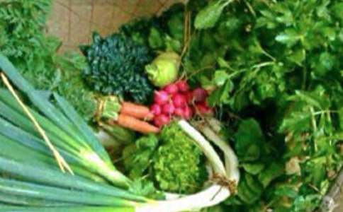 小学生心理健康教案(精选5篇)