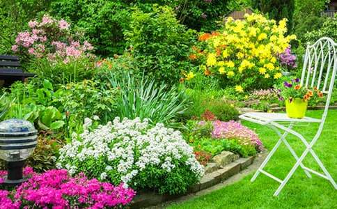 《巨人的花园》优秀教案(通用11篇)