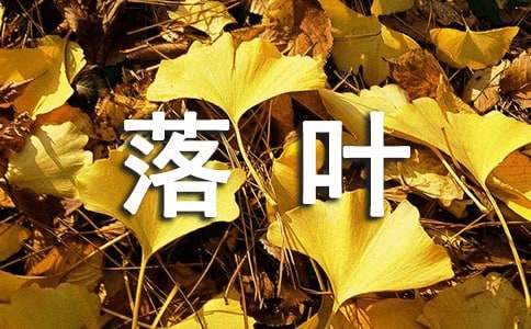 常绿树与落叶树大班教案（精选15篇）