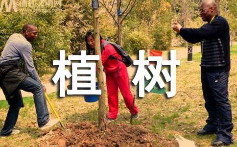 人教版五年级《植树问题》教学设计(通用13篇)