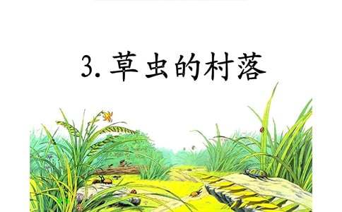 六年级上册《草虫的村落》教学设计