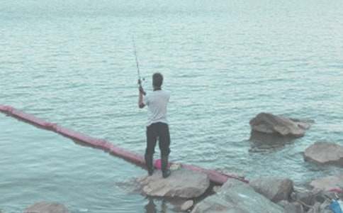 《钓鱼的启示》的教案教学设计