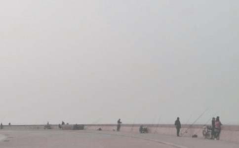 《小猫钓鱼》教学设计