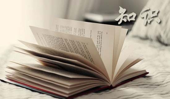 初中初二八年级语文下册复习教学知识点归纳总结