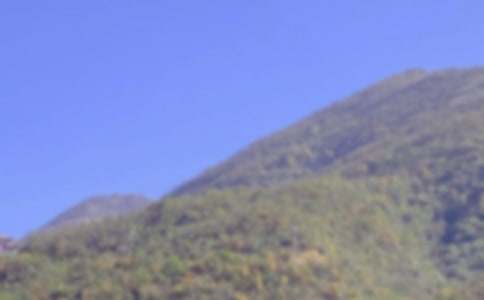 《爬山虎的脚》优秀教案