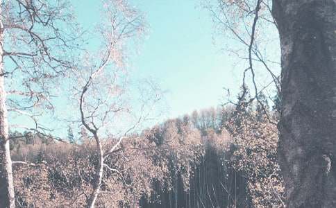 小班秋季教学计划（精选14篇）