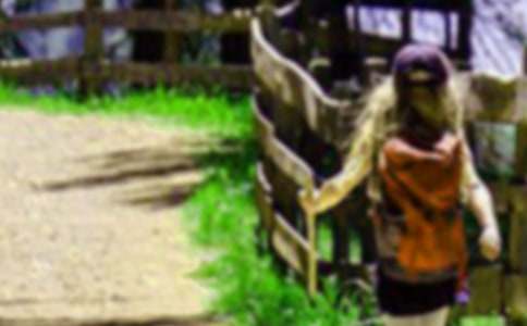 爬山虎的脚教案(通用14篇)