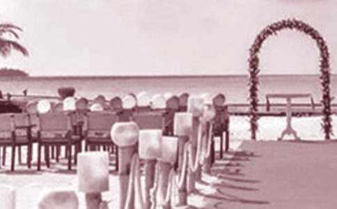 求亲订婚与准备婚礼会用到什么英语单词短语