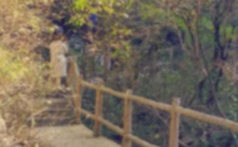 《爬山虎的脚》教案(精选15篇)