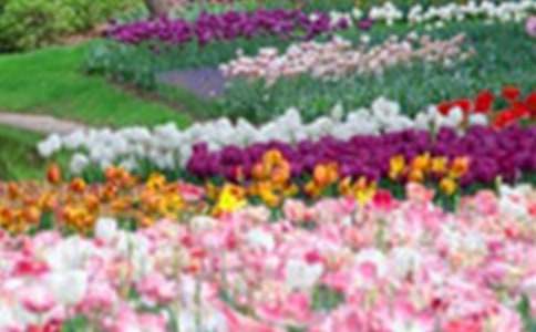 《巨人的花园》教学反思总结