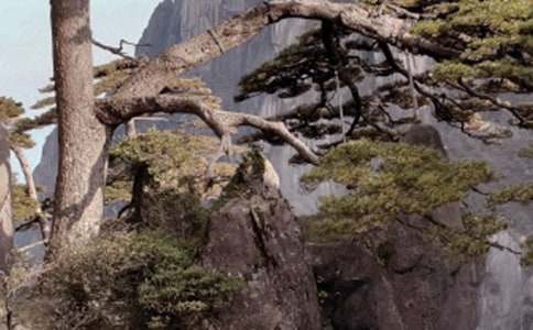 《黄山奇石》教学设计33篇