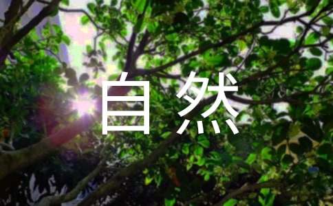 《自然之道》课文教学设计