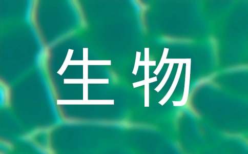 生物教学工作计划(15篇)