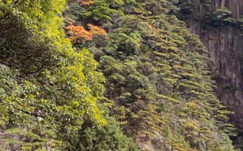 部编版二年级上册黄山奇石教学设计（通用13篇）