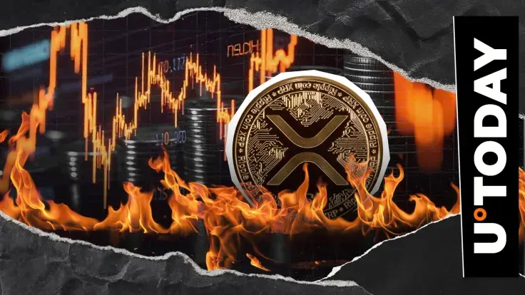 XRP销毁率活动骤降