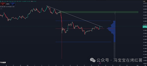 2025年DOGE展望:技术面与基本面共振