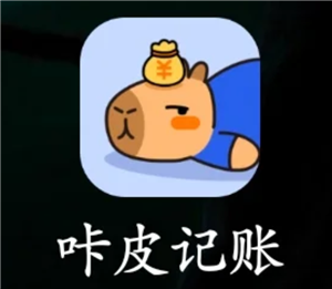 咔皮记账怎么自动记账