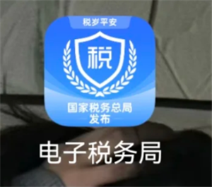 电子税务局人脸核验失败怎么解决
