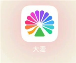 大麦网怎么设置付款方式