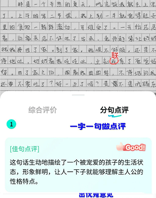 光速写作app分句分析功能