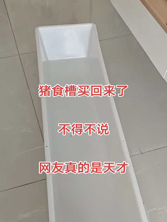 女子花几十块买猪食槽收纳孩子玩具:不照常理出牌更好用!