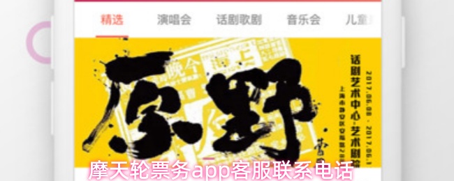 摩天轮票务app怎么联系客服