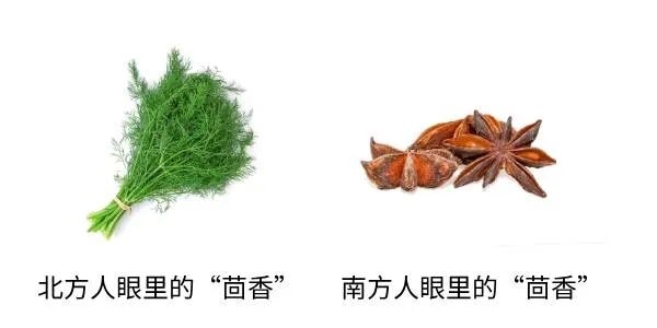 这种“胳肢窝味儿”的奇怪蔬菜 竟然只有北方人在吃