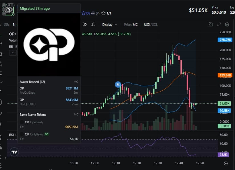 近期亮点展现公平分配