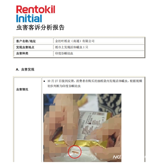 网友投诉清风未开封抽纸发现活虫 客服回应:可将问题产品寄回公司分析