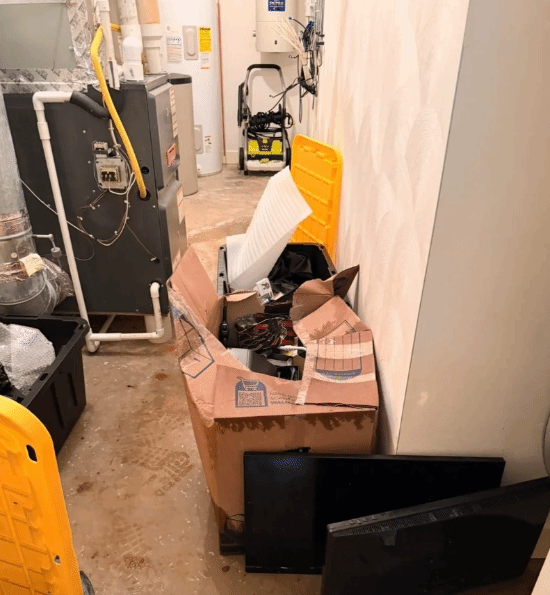 “屎漫金山”!宝可梦卡牌收藏家因水管爆裂痛失数千美元