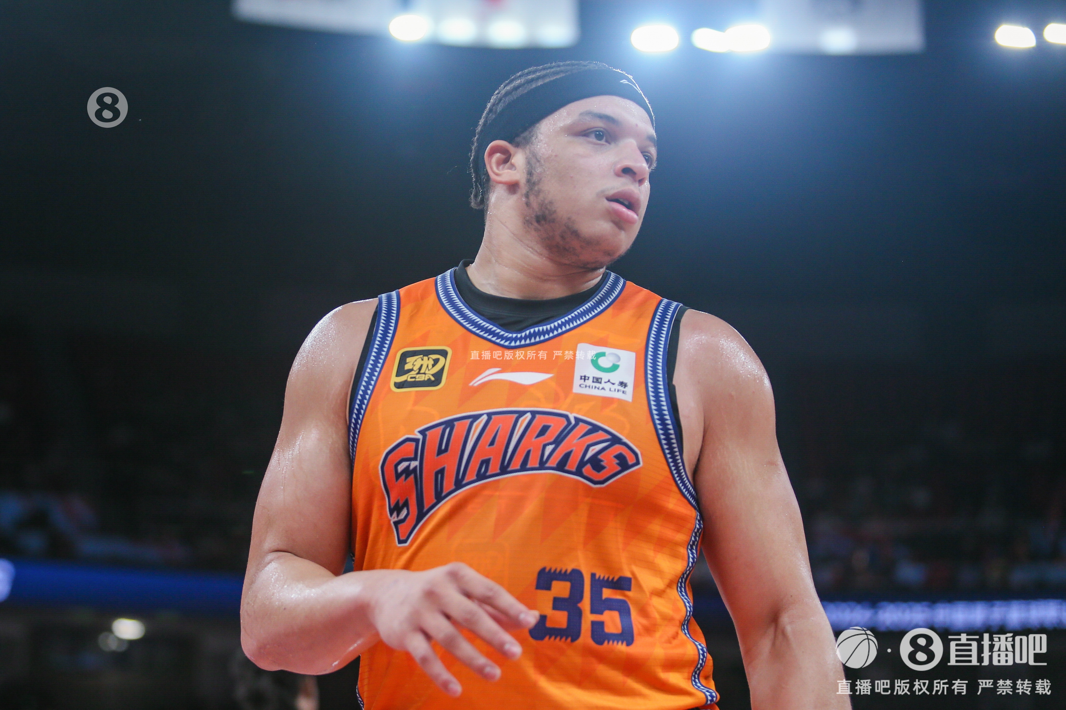 履历都很好!上海男篮潜在4外援阵容:洛夫顿&古德温&弗格&白边