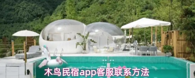 木鸟民宿app怎么联系客服