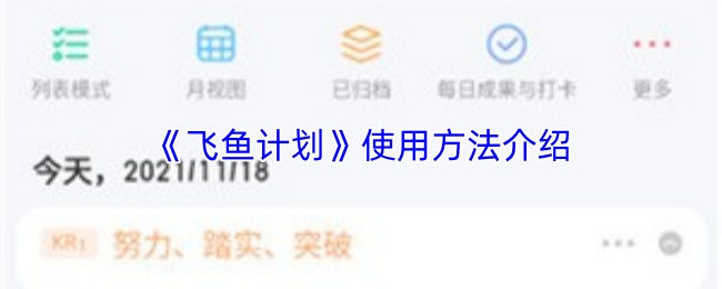 飞鱼计划怎么用